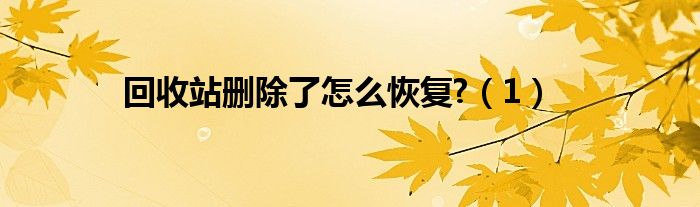 回收站刪除了怎么恢復(fù)?（1）