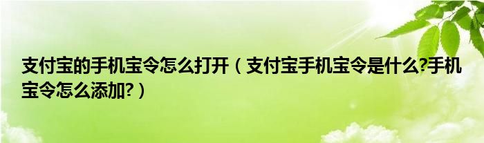 支付寶的手機(jī)寶令怎么打開（支付寶手機(jī)寶令是什么?手機(jī)寶令怎么添加?）