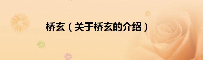 橋玄（關(guān)于橋玄的介紹）