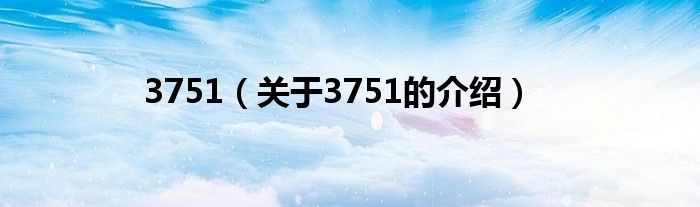 3751（關(guān)于3751的介紹）