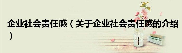 企業(yè)社會(huì)責(zé)任感（關(guān)于企業(yè)社會(huì)責(zé)任感的介紹）