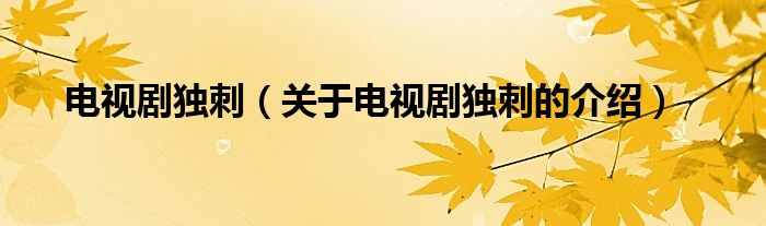 電視劇獨(dú)刺（關(guān)于電視劇獨(dú)刺的介紹）