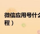 微信應(yīng)用號(hào)什么時(shí)候出來(lái)（微信應(yīng)用號(hào)申請(qǐng)教程）