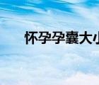 懷孕孕囊大?。☉言性心掖笮藴手担?/>
                                    </a>
                                                </div>
                                    <div   id=