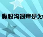 腹股溝很癢是為什么（腹股溝癢是什么原因）