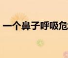 一個鼻子呼吸危害（人一個鼻孔呼吸的危害）