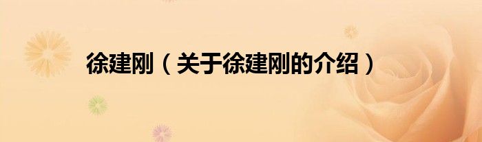 徐建剛（關(guān)于徐建剛的介紹）