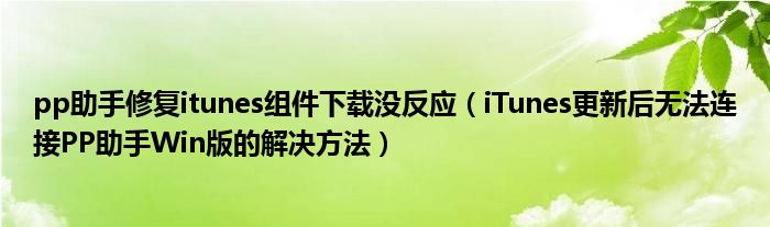pp助手修復(fù)itunes組件下載沒反應(yīng)（iTunes更新后無法連接PP助手Win版的解決方法）