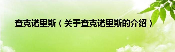 查克諾里斯（關于查克諾里斯的介紹）