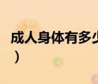 成人身體有多少塊骨骼（成人身體有多少骨頭）