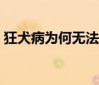 狂犬病為何無法治療（狂犬病為何無法治愈）