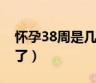 懷孕38周是幾個(gè)月了?。☉言?8周是幾個(gè)月了）