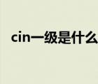 cin一級是什么病變（cin一級是什么意思）
