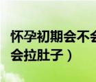 懷孕初期會(huì)不會(huì)拉肚子肚子疼（懷孕初期會(huì)不會(huì)拉肚子）