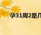 孕31周2是幾個月（孕31周是幾個月）