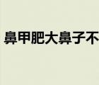 鼻甲肥大鼻子不通氣（鼻甲在鼻子什么位置）