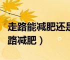 走路能減肥還是跑步能減肥（跑步減肥還是走路減肥）