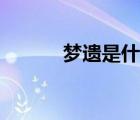 夢遺是什么東西（夢遺是什么）