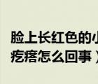 臉上長紅色的小疙瘩怎么治（臉上長紅色的小疙瘩怎么回事）