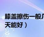 膝蓋擦傷一般幾天后能跑步（膝蓋擦傷一般幾天能好）