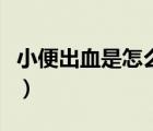 小便出血是怎么引起的（小便出血是怎么回事）