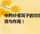中藥炒蒼耳子的功效與作用及食用方法（中藥炒蒼耳子的功效與作用）