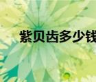 紫貝齒多少錢一斤（照b超多少錢一次）
