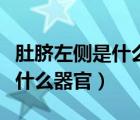 肚臍左側(cè)是什么器官有時候會疼（肚臍左側(cè)是什么器官）