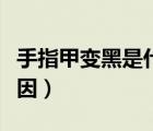 手指甲變黑是什么病圖（手指甲變黑是什么原因）