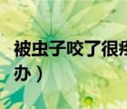 被蟲子咬了很疼起包了（被蟲子咬了很疼怎么辦）