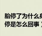 胎停了為什么身體沒反應(yīng)（做彩超胎停實(shí)際沒停是怎么回事）