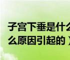 子宮下垂是什么原因引起的呢（子宮下垂是什么原因引起的）