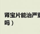 腎寶片能治嚴(yán)重早泄怎么治（腎寶片能治早泄嗎）