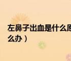 左鼻子出血是什么原因解決辦法（左鼻子出血是什么原因怎么辦）