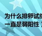 為什么排卵試紙一直是一條（為什么排卵試紙一直是弱陽性）
