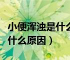 小便渾濁是什么原因還伴有腰疼（小便渾濁是什么原因）