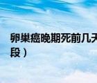 卵巢癌晚期死前幾天出現(xiàn)什么癥狀（卵巢癌晚期死前幾個階段）