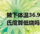 腋下體溫36.9算不算發(fā)燒（腋下體溫36.9攝氏度算低燒嗎）