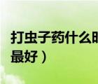 打蟲子藥什么時候吃好（打蟲子藥什么時候吃最好）