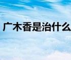 廣木香是治什么病的（廣木香治療什么癥狀）