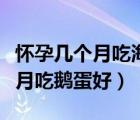 懷孕幾個月吃海參對胎兒發(fā)育最好（懷孕幾個月吃鵝蛋好）