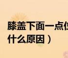 膝蓋下面一點位置疼（膝蓋下面一點的位置痛什么原因）