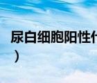 尿白細(xì)胞陽性什么?。虬准?xì)胞陽性什么意思）