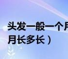 頭發(fā)一般一個(gè)月能長(zhǎng)多少厘米（頭發(fā)一般一個(gè)月長(zhǎng)多長(zhǎng)）