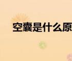 空囊是什么原因造成（空囊是誰的原因）