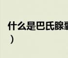 什么是巴氏腺囊腫發(fā)作期（什么是巴氏腺囊腫）