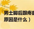 男士腳后跟疼的原因及治療（男士腳后跟疼的原因是什么）