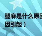 腿麻是什么原因引起的年輕人（腿麻是什么原因引起）