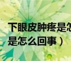 下眼皮腫疼是怎么回事又疼又癢（下眼皮腫疼是怎么回事）