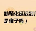 髓鞘化延遲到幾歲會(huì)說（寶寶髓鞘化延遲一定是傻子嗎）